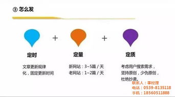 菏澤市網(wǎng)絡(luò)公司與臨沂新網(wǎng)網(wǎng)絡(luò) 軟件開(kāi)發(fā)服務(wù)解析