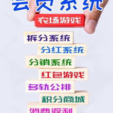 企業(yè)財(cái)務(wù)管理優(yōu)化與財(cái)務(wù)咨詢服務(wù)價(jià)值